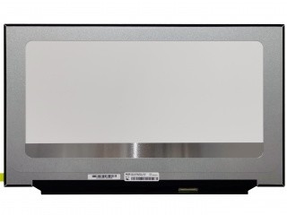 NE173FHM-NX1 BOE 17,3&quot; 1920 ((RGB) × 1080, 250 cd/m2 Affichage LCD industriel