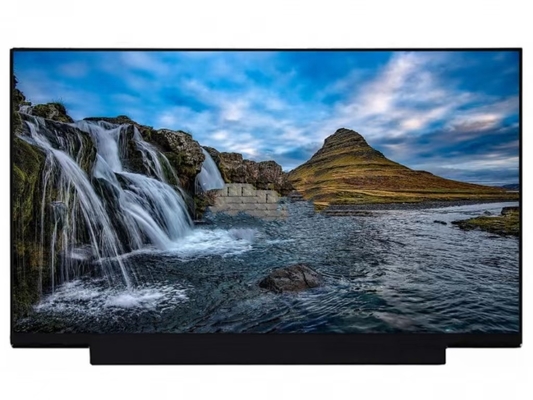 NT173WDM-N25 BOE 17,3&quot; 1600 ((RGB) × 900, HD+ 250 (cd/m2) Affichage LCD industriel