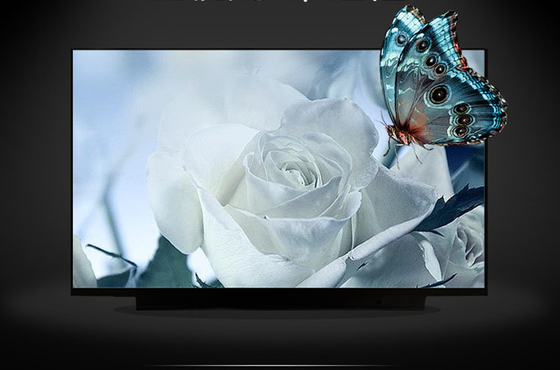 M133NVF3 R0 IVO 13,3&quot; 1920 ((RGB) × 1080, 300 (cd/m2) affichage LCD industriel