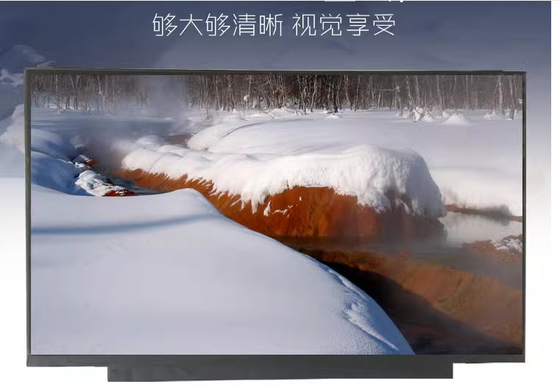 NE160WUM-NX2 BOE 16,0&quot; 1920 ((RGB) × 1200, 250 cd/m2 affichage LCD industriel