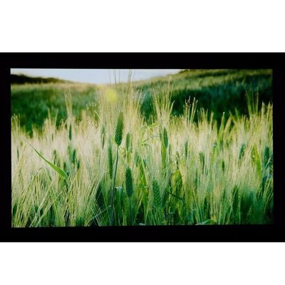 10,1 » LCM 1024×600RGB   ² de 350cd/m   Affichage de TFT LCD du dièse LQ101W3LG01