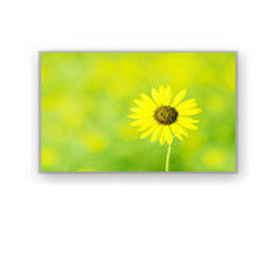 4,0&quot; affichage industriel HSD040I3N1-B00 HannStar d'affichage à cristaux liquides de 320×240 4700cd/M2